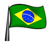 8 - bandeira.png